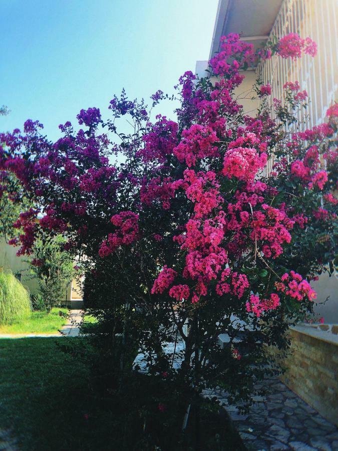 Vila Jovana Sutomore Buitenkant foto